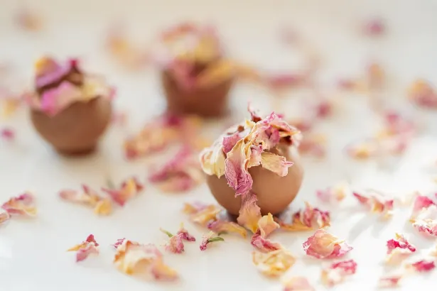 פליקן קזינו אפליקציית Android/iOS